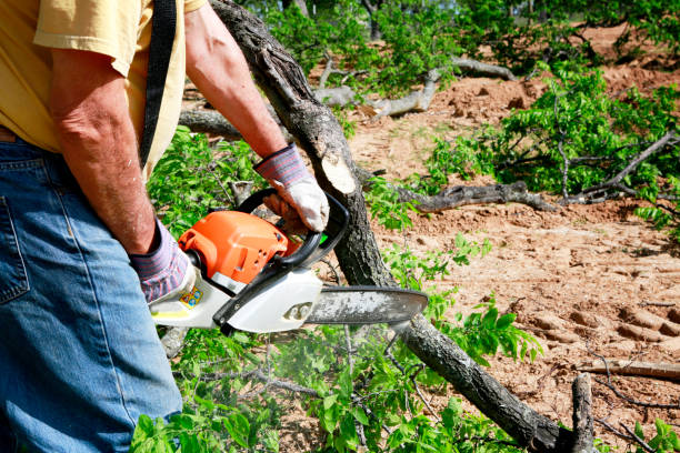 Best Tree Mulching  in West Tawakoni, TX